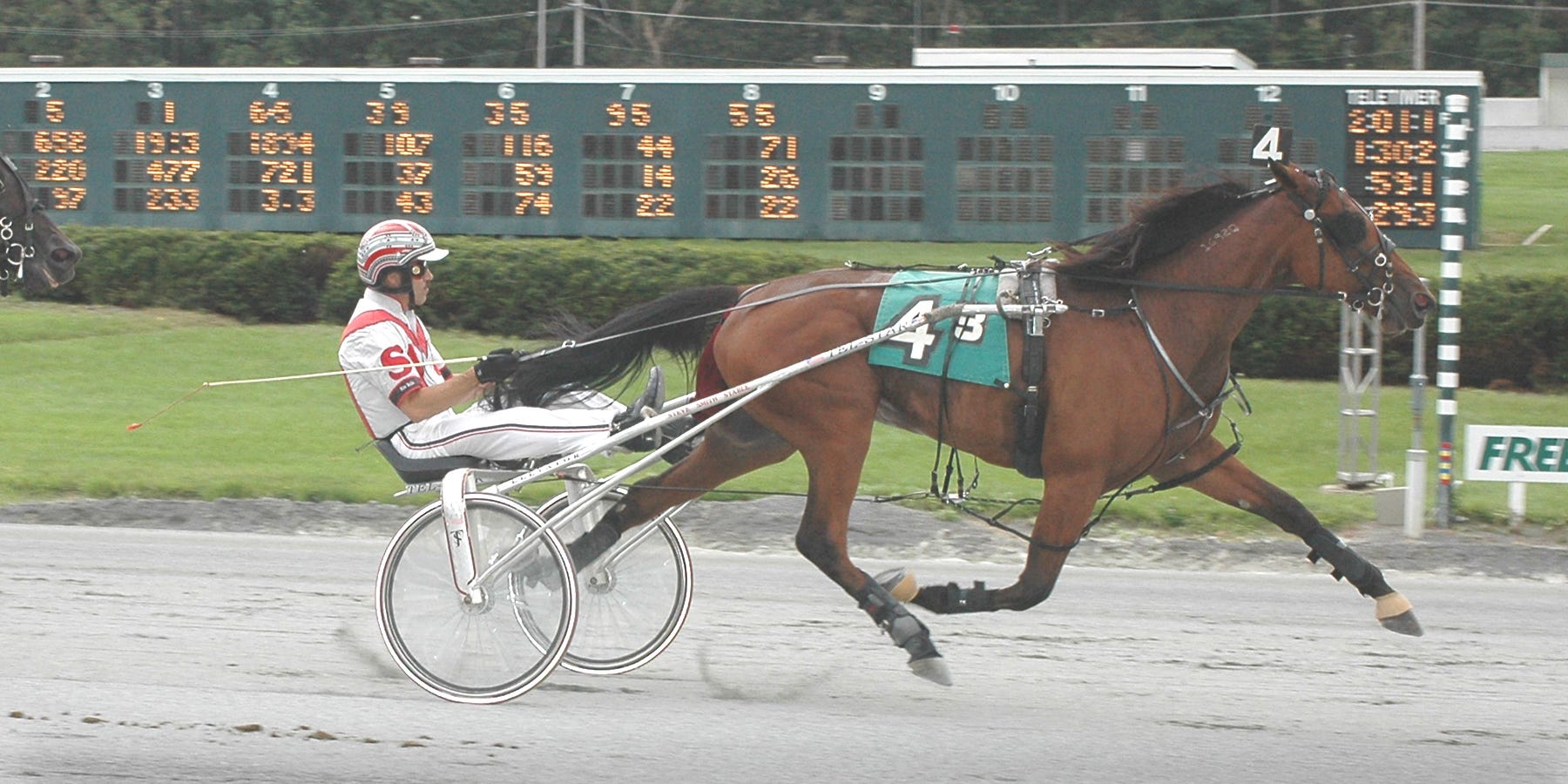 Harness Profile of driver Steve Smith